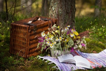 Picnic or BBQ in the orchard